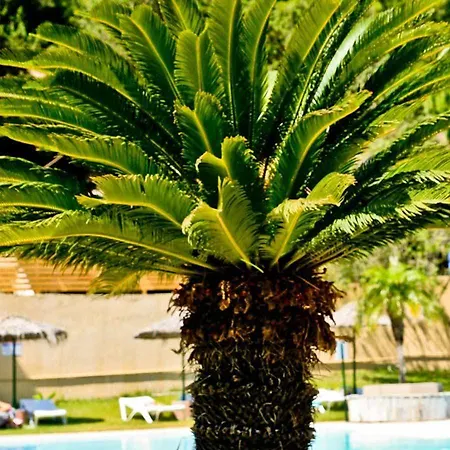 Achousa Apartahotel